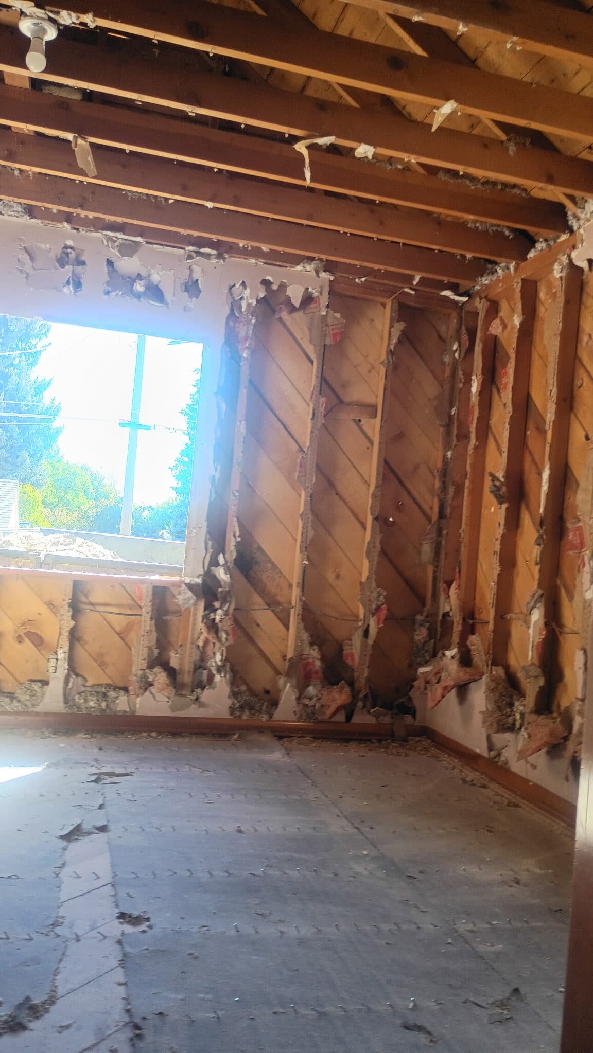 2127 W State — renovation, photograph 4